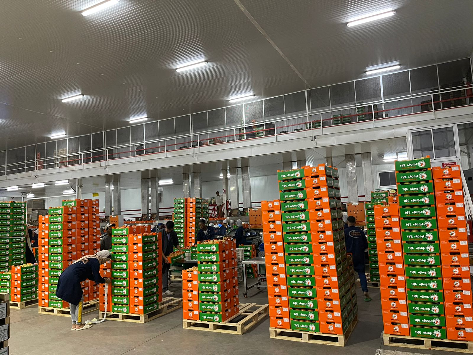 Palettes de cartons The Moon dans un espace de conditionnement