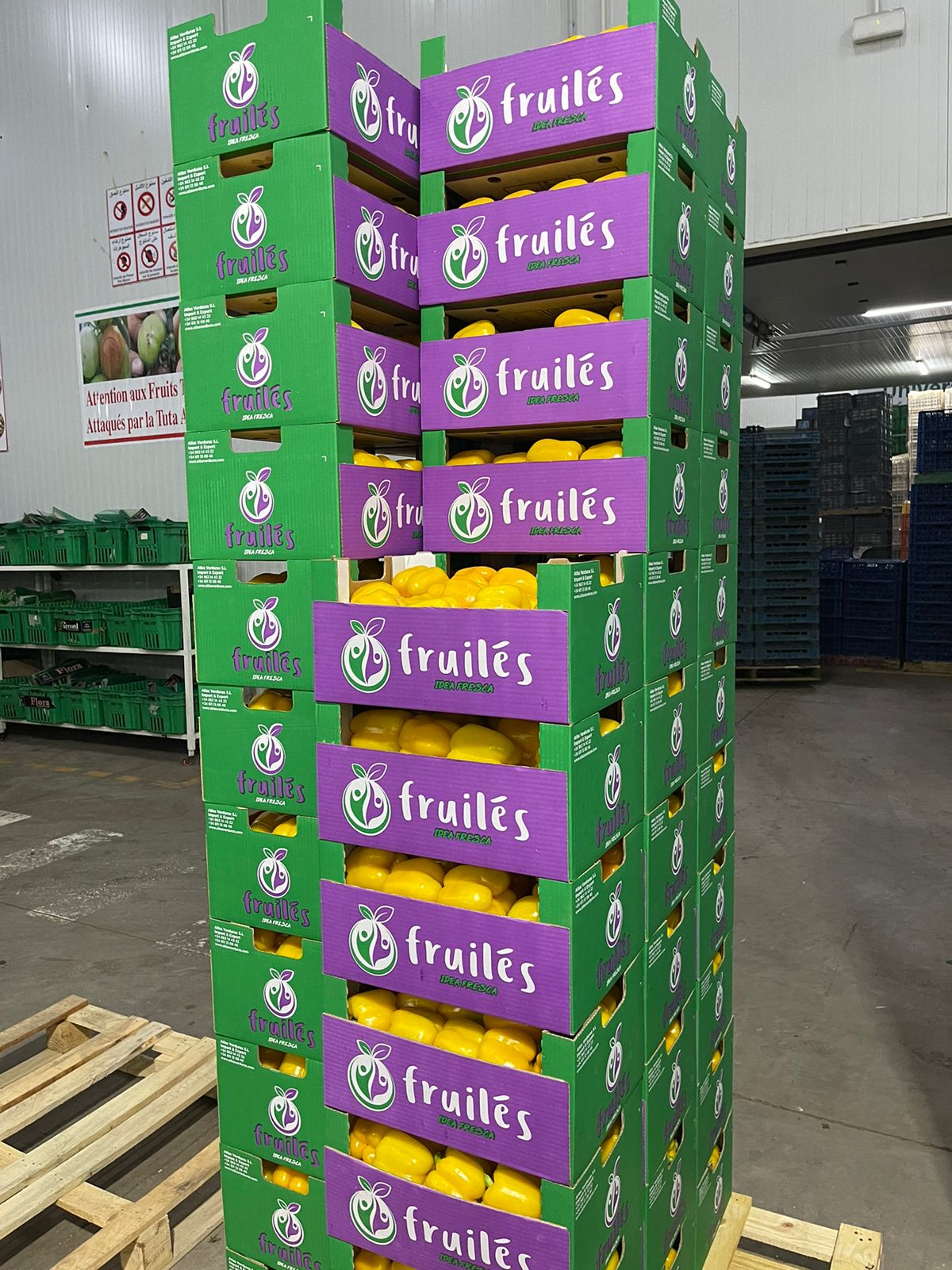 Palettes de poivrons jaunes dans les cartons violets et verts Fruilés