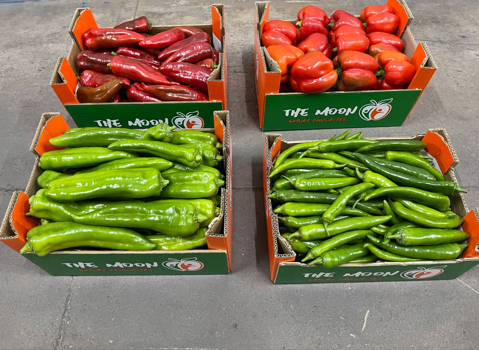 Poivrons rouges et verts en cartons The Moon